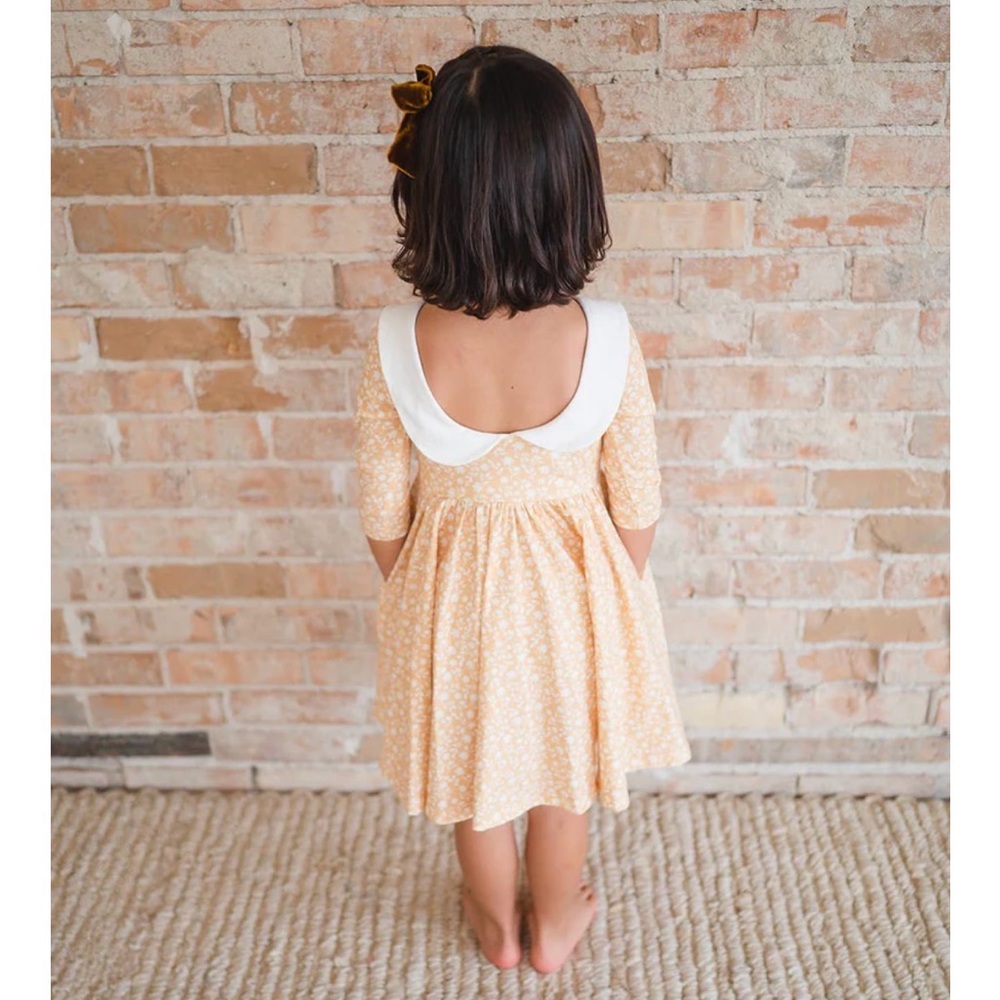 Ollie Jay Peter Pan collar twirl dress floral